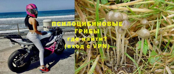 таблы Алексеевка