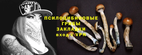 таблы Алексеевка