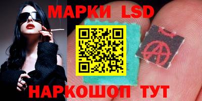 амф Кандалакша