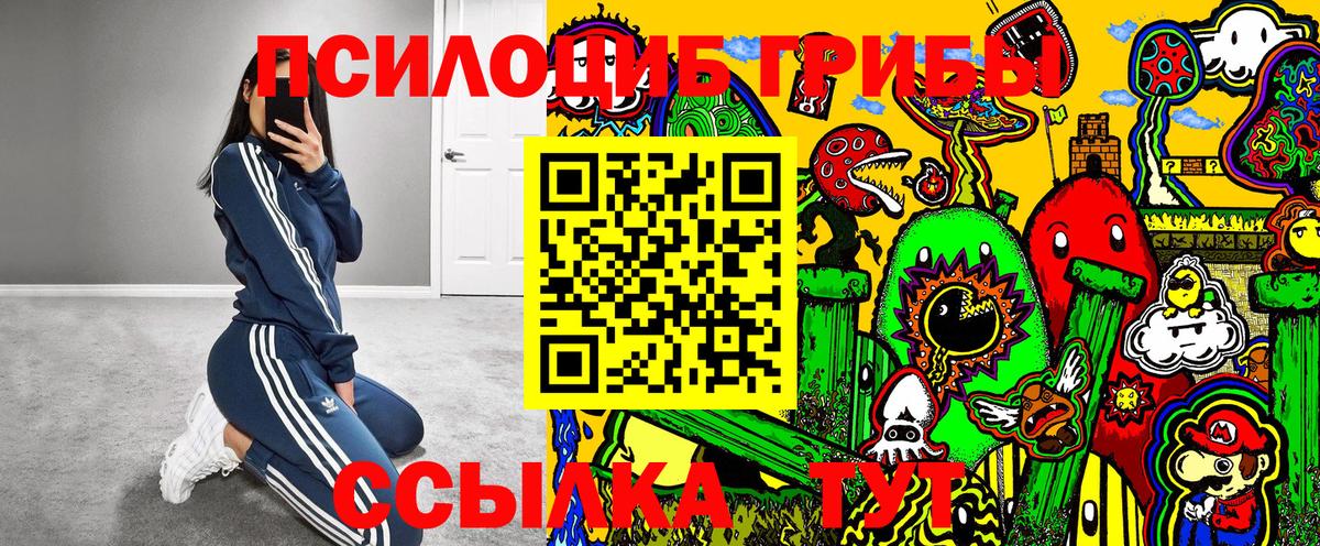 Псилоцибиновые грибы Psilocybe Ейск