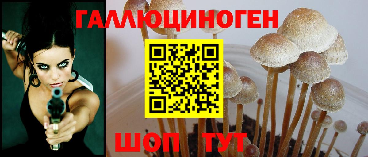Псилоцибиновые грибы мицелий  Вход с VPN  Ейск  Псилоцибиновые грибы мухоморы 